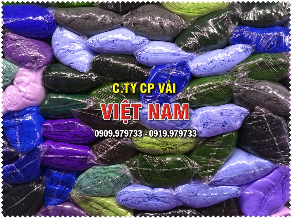CTCP-VAI-VIET-NAM-1-26-1.png